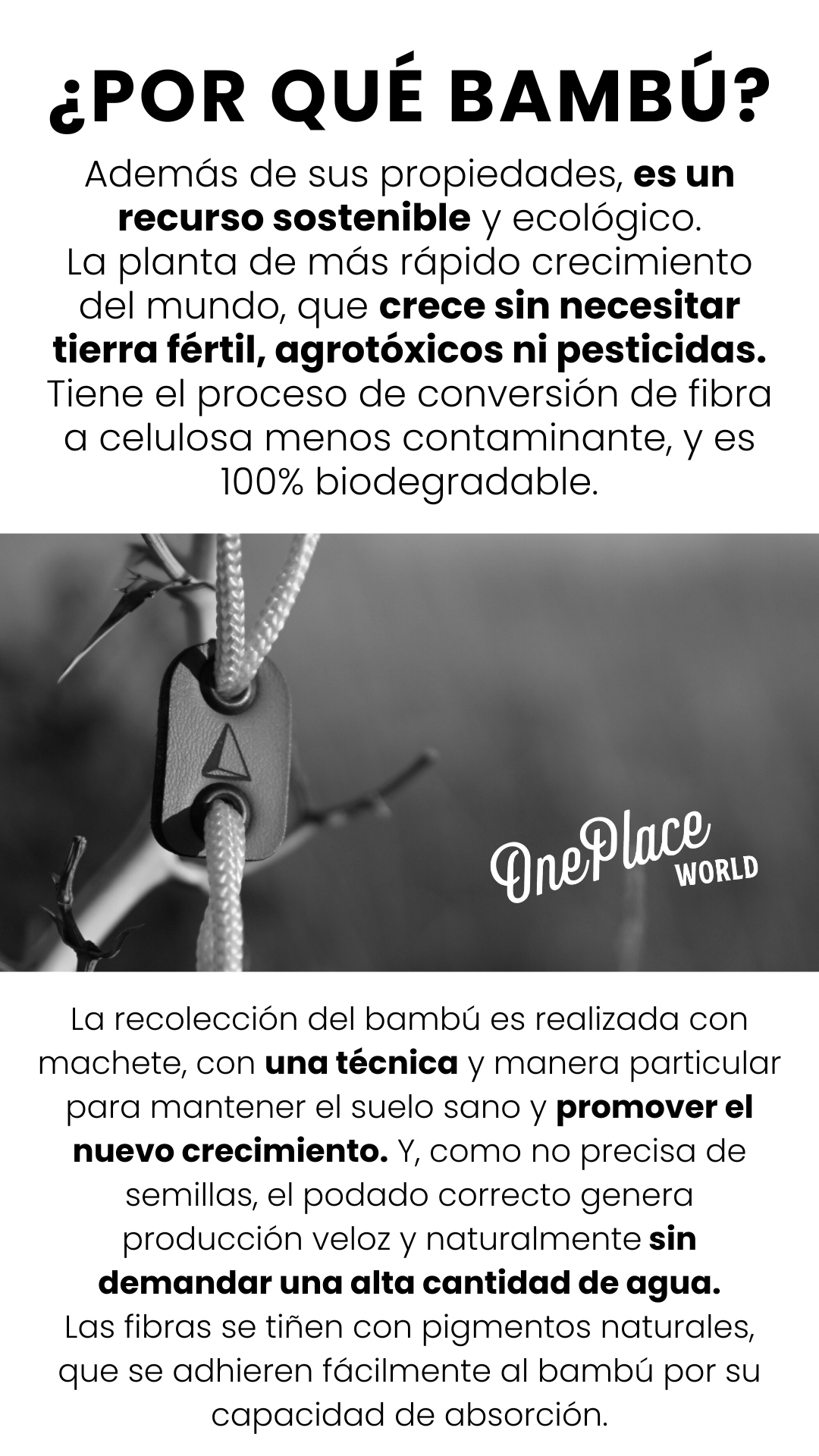 Además de sus propiedades, es un recurso sostenible y ecológico. La planta de más rápido crecimiento del mundo, que crece sin necesitar tierra fértil, agrotóxicos ni pesticidas. Tiene el proceso de conversión de fibra a celulosa menos contaminante, y es 100% biodegradable. ¿POR QUÉ BAMBÚ? La recolección del bambú es realizada con machete, con una técnica y manera particular para mantener el suelo sano y promover el nuevo crecimiento. Y, como no precisa de semillas, el podado correcto genera producción veloz y naturalmente sin demandar una alta cantidad de agua. Las fibras se tiñen con pigmentos naturales, que se adhieren fácilmente al bambú por su capacidad de absorción.